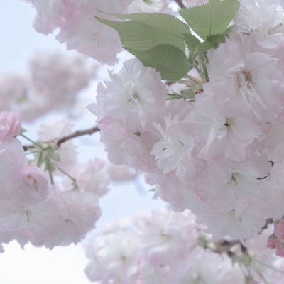 Furry插画故事感设计福瑞群